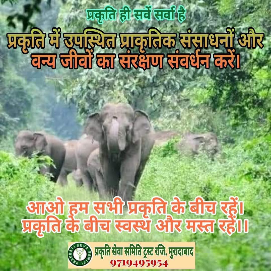 The Blueprint of Life: Conserve Every Drop.